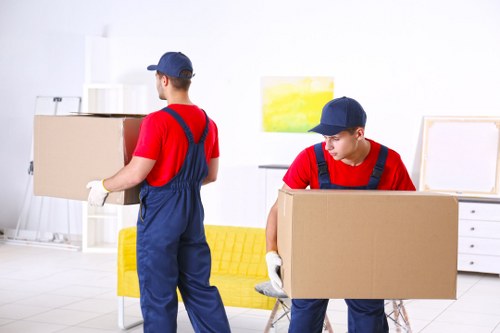 Student removals planning in Pimlico with boxes and a moving van