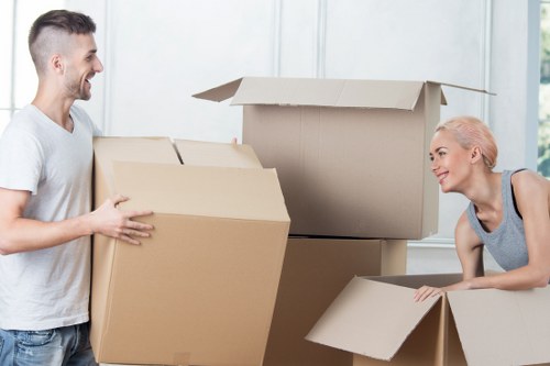 Flexible storage options for residential and commercial customers in Pimlico