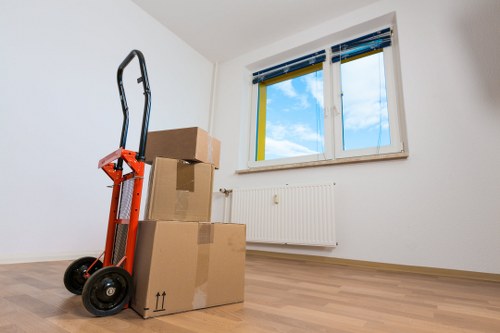 Packing boxes and furniture ready for storage in Pimlico